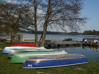 Seeufer in Lychen